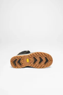 Lowa Renegade Evo ICE 2 GTX Ws Damen (Schwarz/Champagner) Online